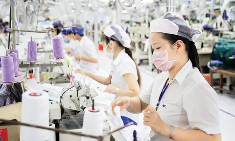 Doanh nghiệp dệt may tìm cách xoay sở trong mùa dịch Covid-19